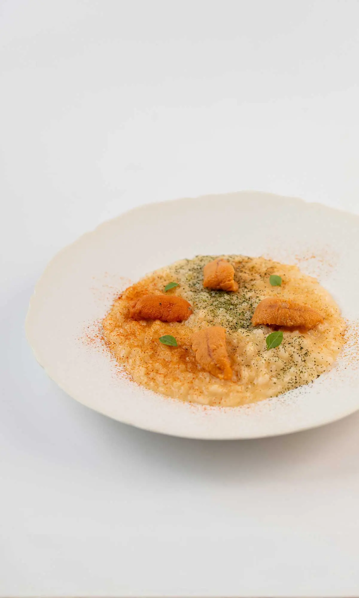 Creamy risotto topped with sea urchin, herb powder, paprika and basil leaves